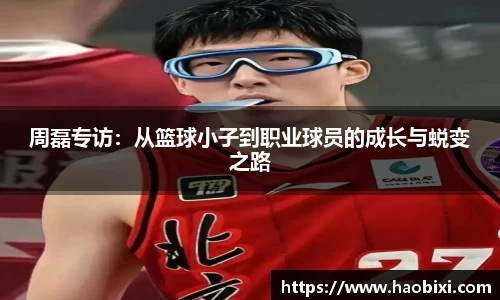 bsports官网入口