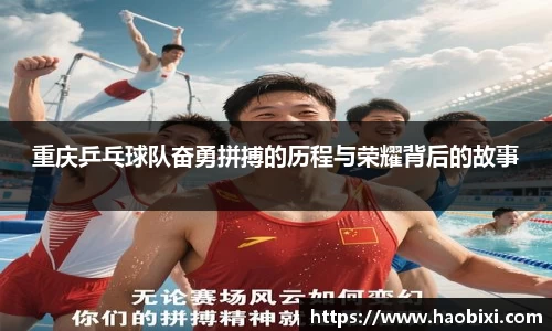 Bsports网页版