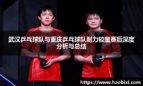bsports官网入口