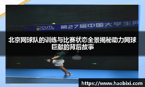 bsports官网入口
